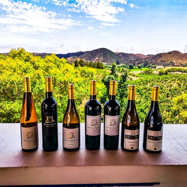 From Lagos: Small-Group 4-Hour Wine Tasting Tour - From Lagos to Silves in about 30 minutes