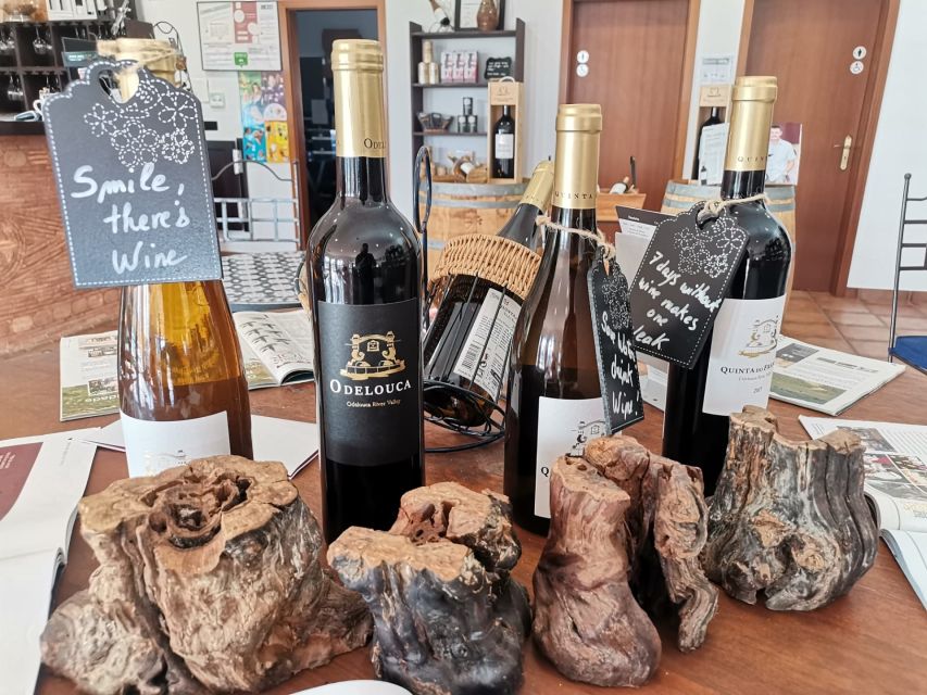 From Lagos: Small-Group 4-Hour Wine Tasting Tour - Who should book this experience?