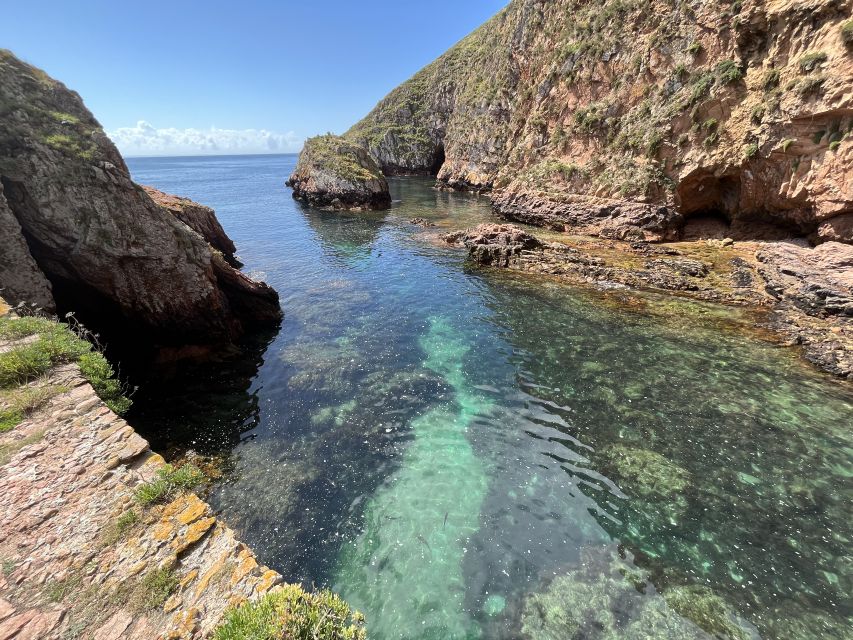 From Lisbon: Berlenga Grande Sightseeing Tour - Berlenga Grande at a glance