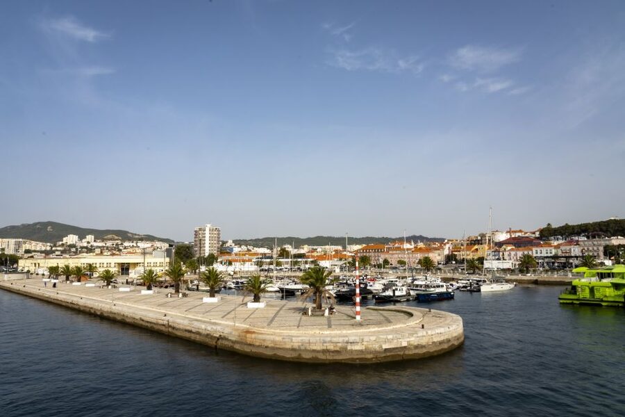 From Lisbon: Comporta and Setúbal Trip with Horseback Riding - What the $294 price buys you