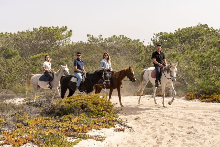 From Lisbon: Comporta and Setúbal Trip with Horseback Riding - Timing, weather, and practical limits