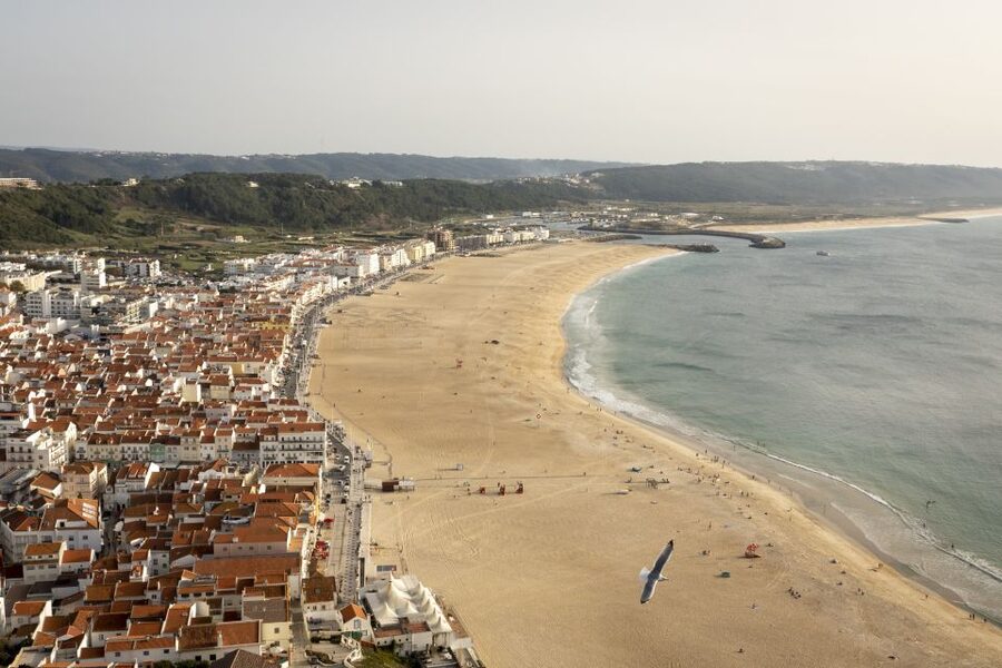 From Lisbon: Day Trip to Porto, Óbidos, and Nazaré - Should you book this day trip?