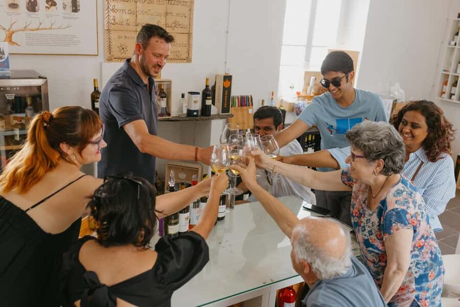 From Lisbon: Évora and Monsaraz Day Tour with Wine Tasting - Timing, walking, and physical demands