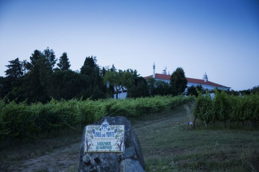 From Lisbon: Évora Wine & Heritage Tour - Who will enjoy this day trip?