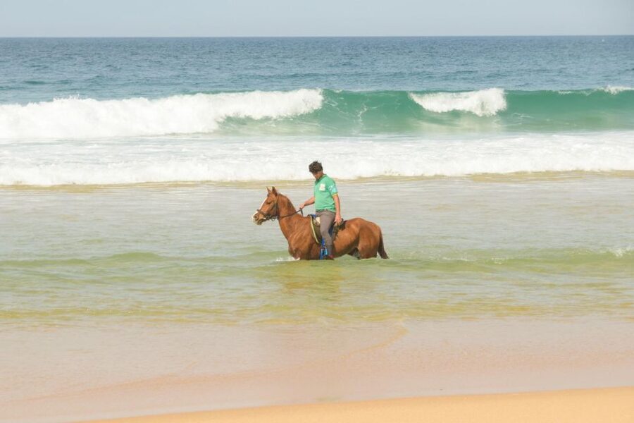 From Lisbon: Horseback Riding on Comporta Beach - Meeting the horses and finding your rhythm