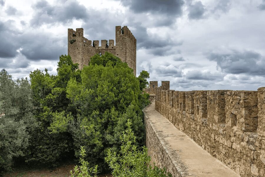 From Lisbon: Nazare Big Waves and Óbidos Guide Day Trip - The drive through Portugal’s countryside
