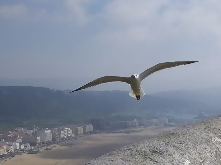 From Lisbon: Private Óbidos and Nazaré Tour - Nazaré Beach and the lower town
