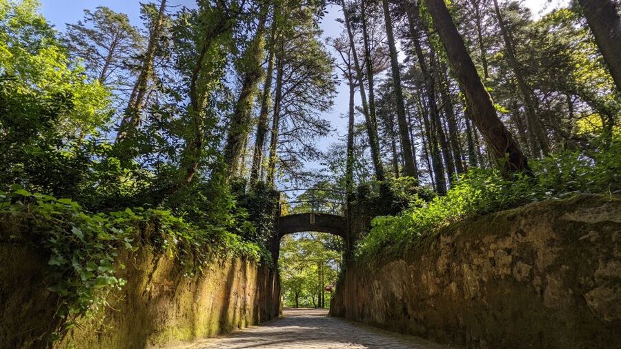 From Lisbon: Sintra Pena Palace Cascais 8-People Group Tour - Who should book this day trip