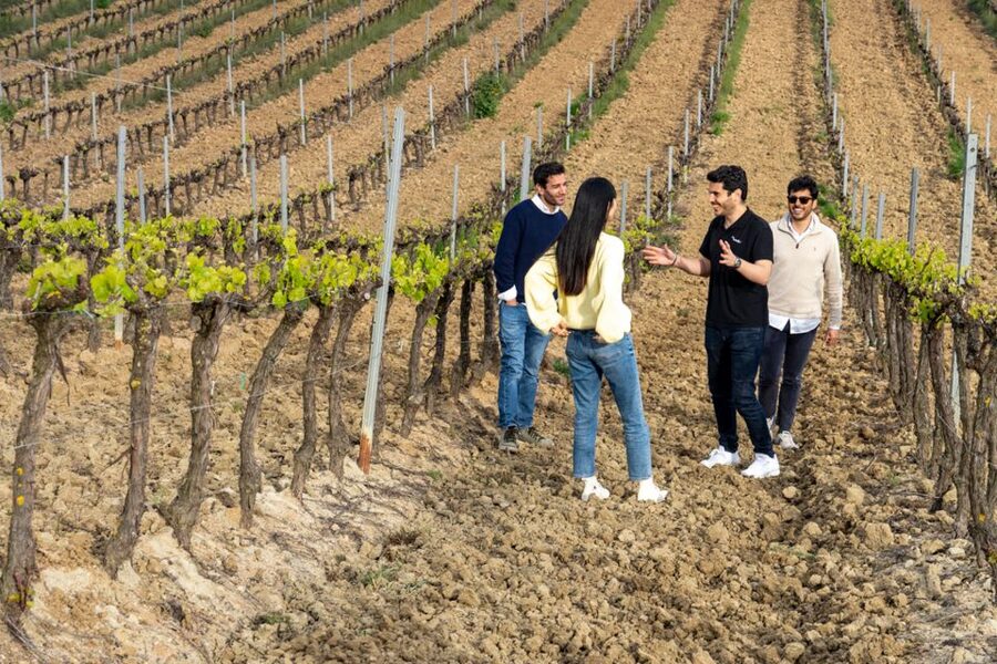 From Lisbon: Sintra & Pena Palace Day Trip with Wine Tasting - Key points before you book
