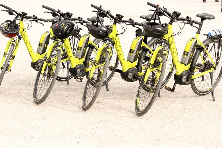 From Lisbon: Sintra to Cascais Full-Day Guided E-Bike Tour - The guide makes the biggest difference