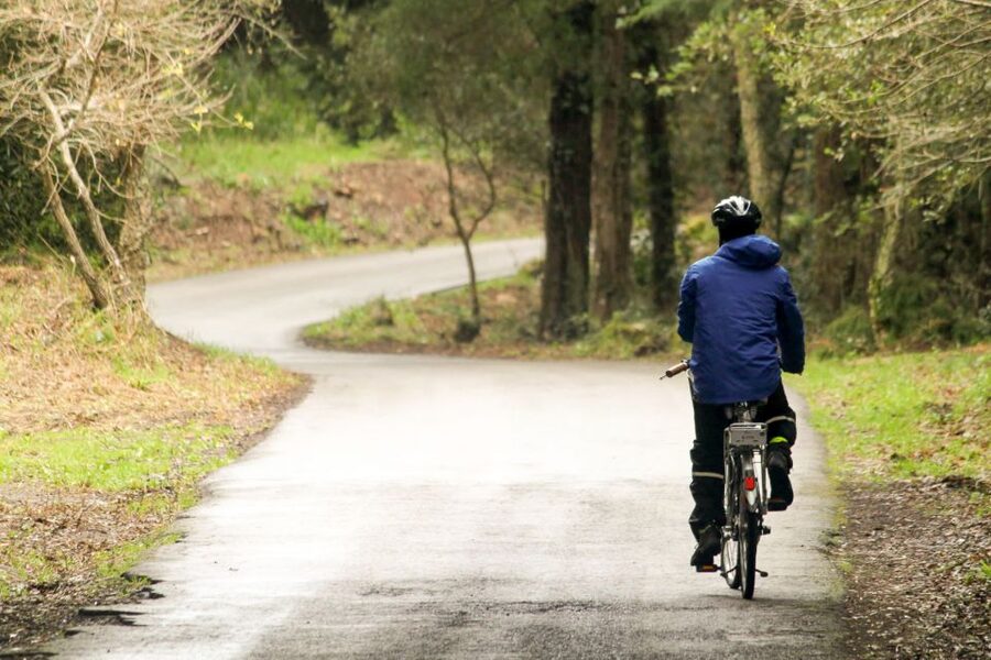 From Lisbon: Sintra to Cascais Full-Day Guided E-Bike Tour - Through Monserrate, Colares, and Penedo