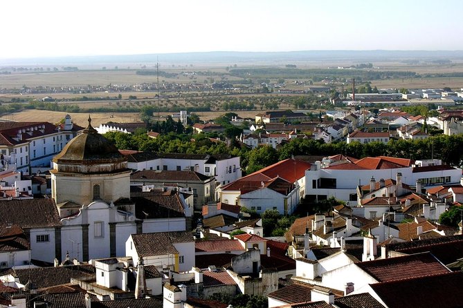 From Lisbon to Alentejo: Évora and Megaliths Full-Day Group Tour - Key points to know before booking