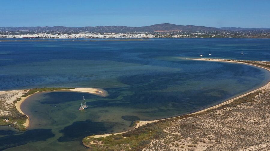 From Olhão: Ria Formosa 3-Island Full-Day Tour - Who will enjoy this boat tour most