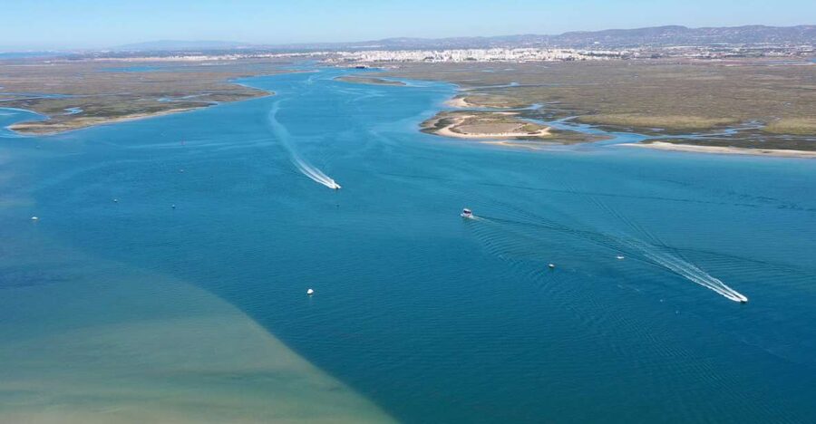 From Olhão: Ria Formosa 3-Island Full-Day Tour - Why this Ria Formosa trip works so well