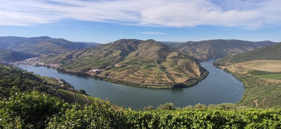 From Pinhão: Douro Valley Tour w/ Wine Tasting and Boat Trip - A compact introduction to the Douro Valley
