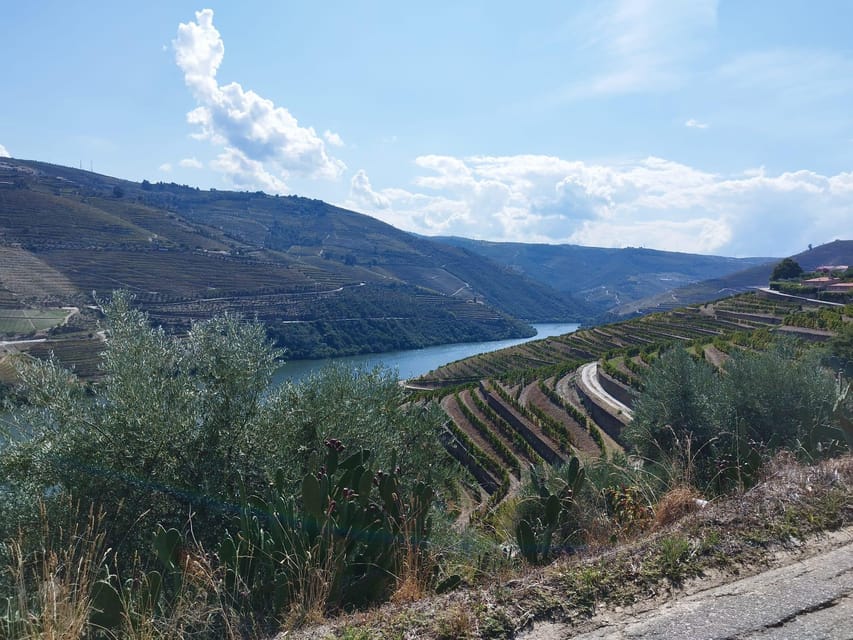 From Pinhão: Douro Valley Tour w/ Wine Tasting and Boat Trip - Visiting a local winery