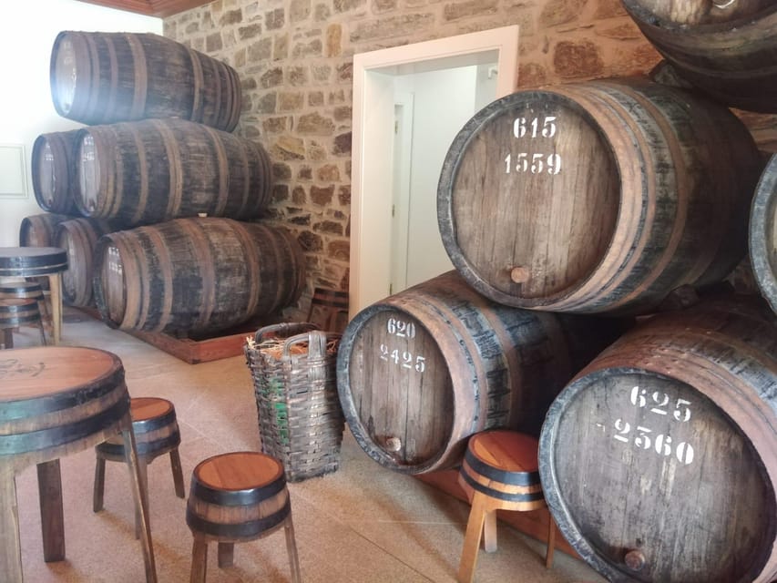 From Pinhão: Douro Valley Tour w/ Wine Tasting and Boat Trip - Morning table wines or afternoon Port