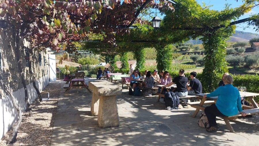 From Pinhão: Douro Valley Tour w/ Wine Tasting and Boat Trip - How the guides shape the experience