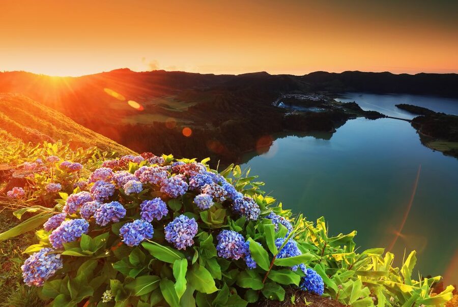 From Ponta Delgada: Sete Cidades Guided Tour - What the $53 price really buys you