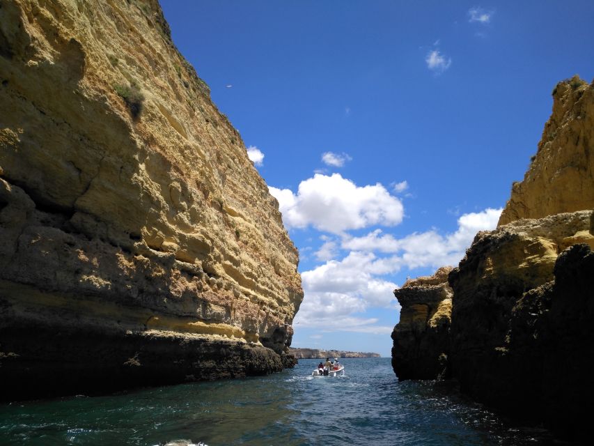 From Portimão: Benagil Caves Guided Speedboat Tour - What the seating and speed feel like