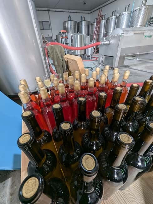 From Porto: 2 Wine Regions, Farm-to-Table Lunch & Boat - Practical points before you go
