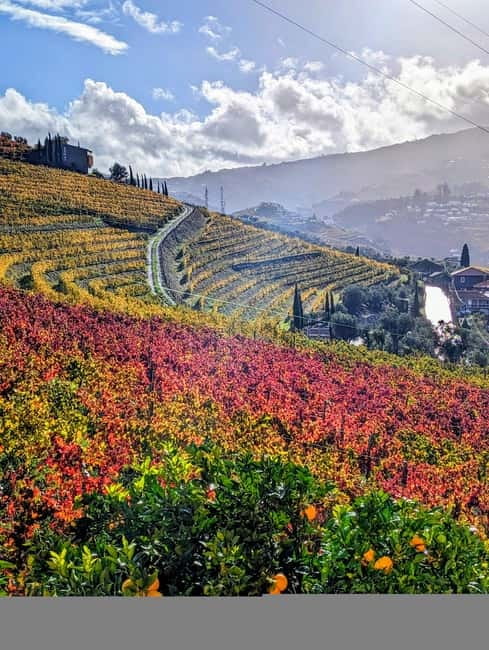 From Porto: 2 Wine Regions, Farm-to-Table Lunch & Boat - Farm-to-table lunch above the Douro