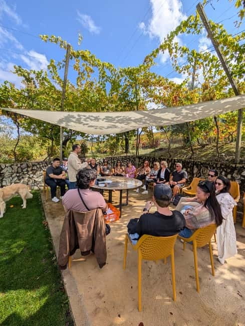 From Porto: 2 Wine Regions, Farm-to-Table Lunch & Boat - Eleven wines and the fire-opened Vintage Port