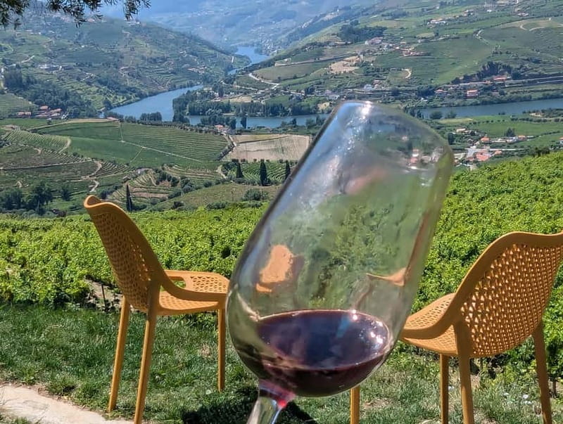 From Porto: 2 Wine Regions, Farm-to-Table Lunch & Boat - Pinhão and a private hour on the river