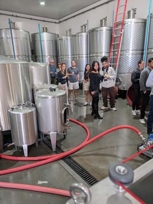 From Porto: 2 Wine Regions, Farm-to-Table Lunch & Boat - What the guides add to the experience