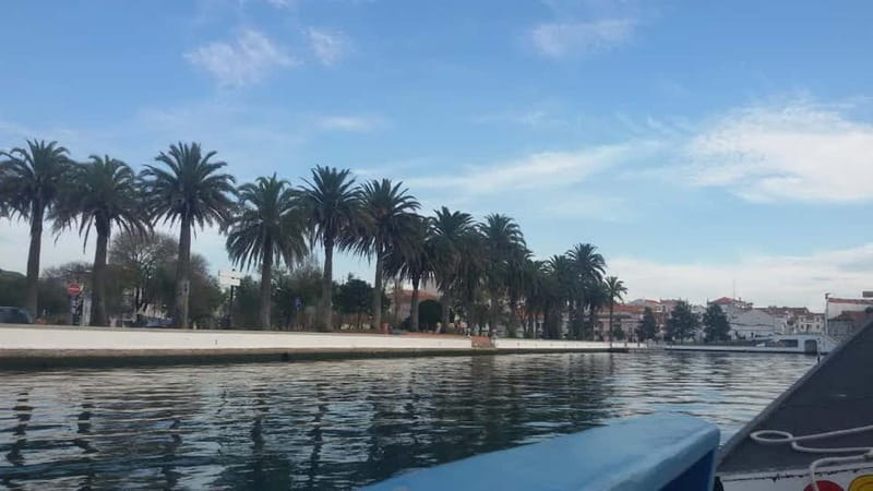 From Porto: Aveiro & Coimbra Tour with Moliceiro Boat Cruise - Key points to know before booking