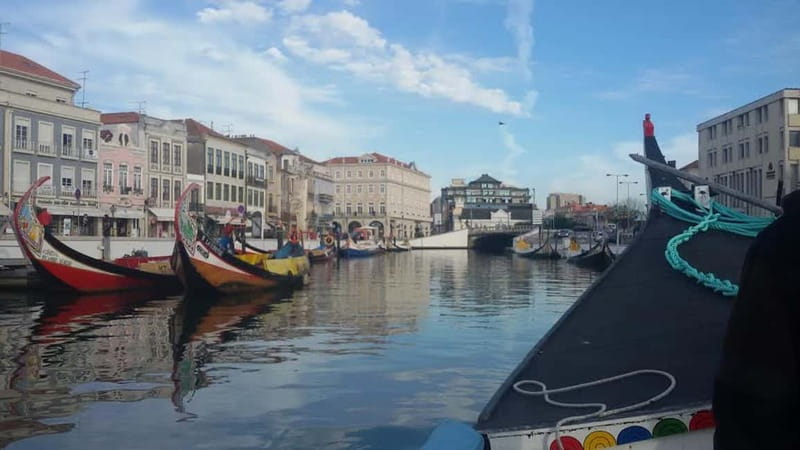 From Porto: Aveiro & Coimbra Tour with Moliceiro Boat Cruise - Coimbra, Portugal’s former capital