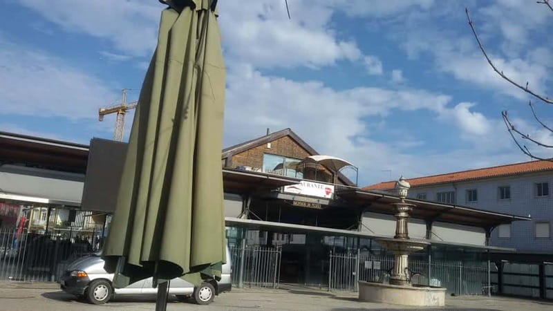 From Porto: Aveiro & Coimbra Tour with Moliceiro Boat Cruise - Lunch in Aveiro or Coimbra