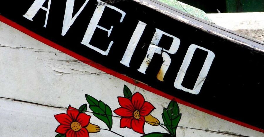 From Porto: Aveiro Half-Day Tour with 1-Hour Cruise - What the $54 price really covers