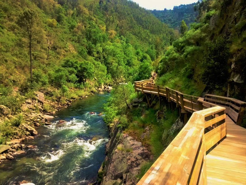 From Porto: Aveiro, Paiva Walkways and Arouca 516 Footbridge - Who should book this day trip?