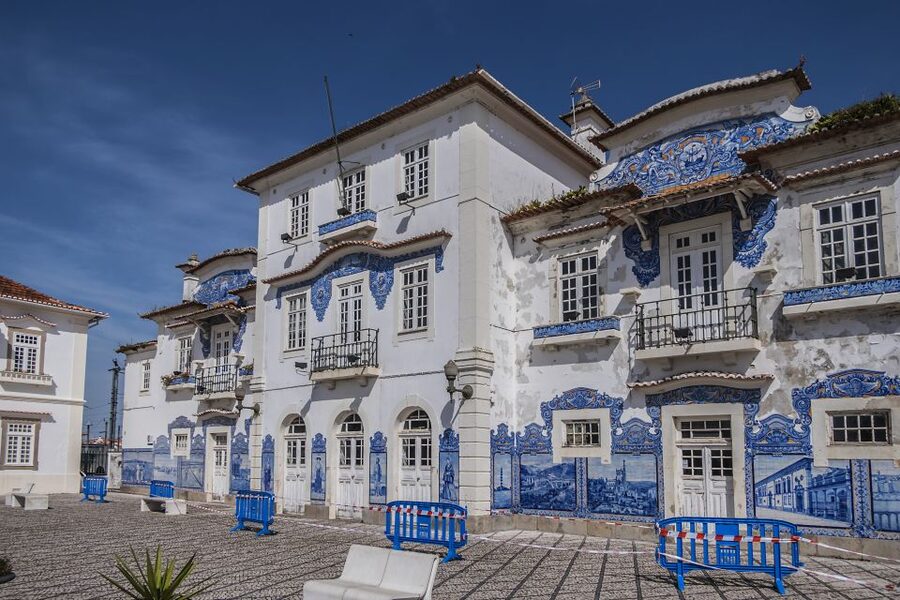 From Porto: Aveiro Private Guided Day Trip - Aveiro’s canals, bridges, and moliceiro boats