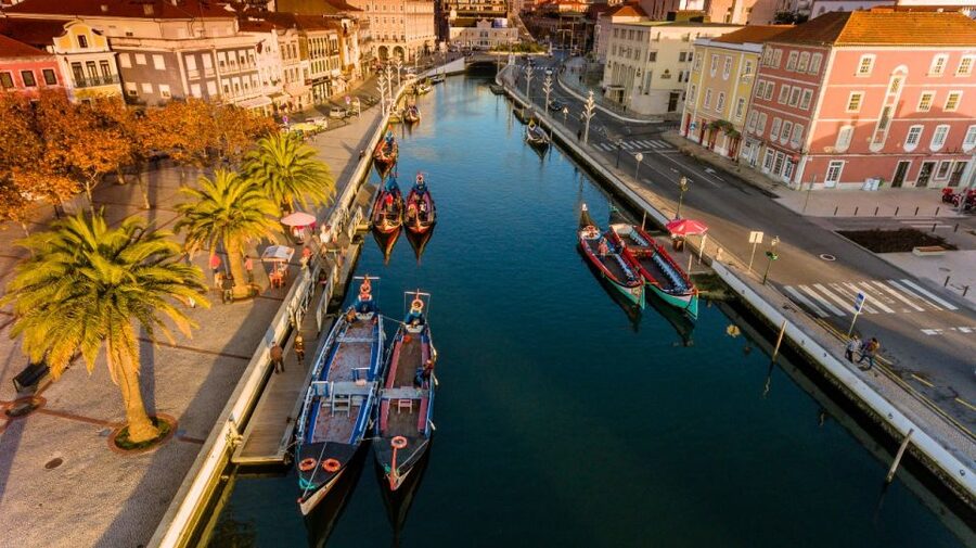 From Porto: Aveiro Private Guided Day Trip - Lunch, ovos moles, and the cost of eating well
