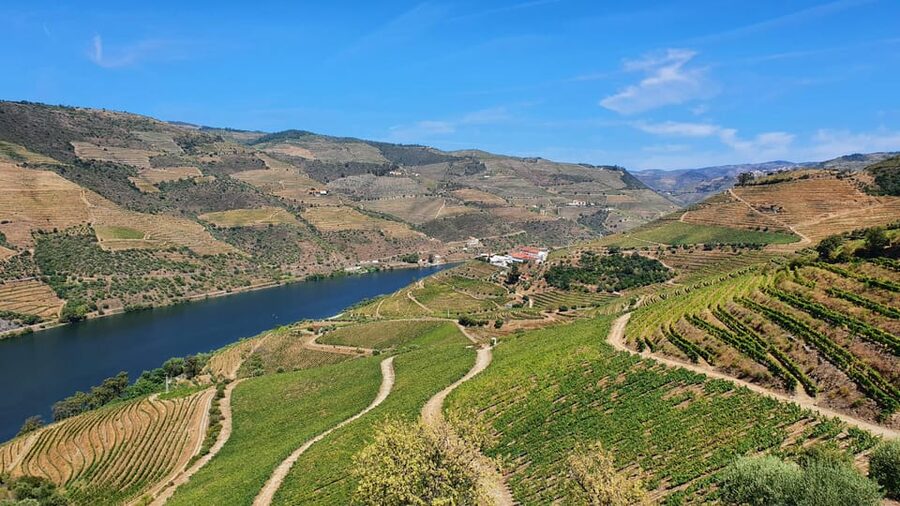From Porto Day Douro Valley Wine Tour 2 Wine Tasting & Lunch - A one-hour rabelo boat cruise