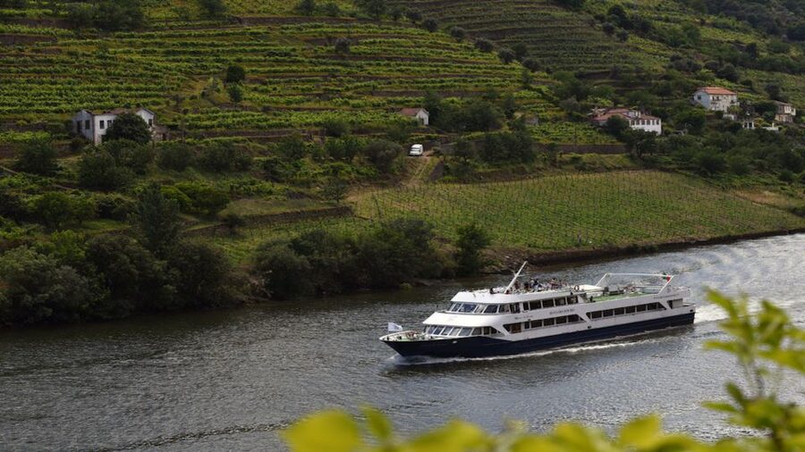 From Porto: Douro River Cruise, Winery Visit & Lunch - Is $119 a fair price?