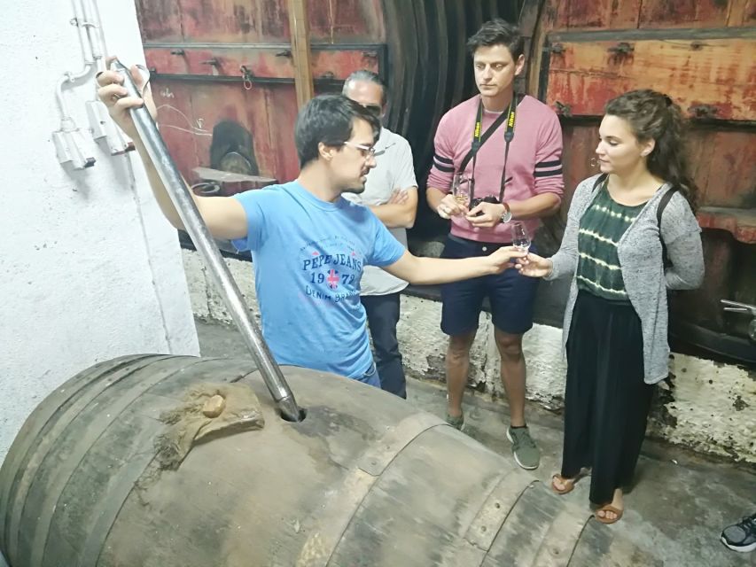 From Porto: Douro Valley 3 Vineyards Tour with Lunch - Guides, group size, and the feel of the day