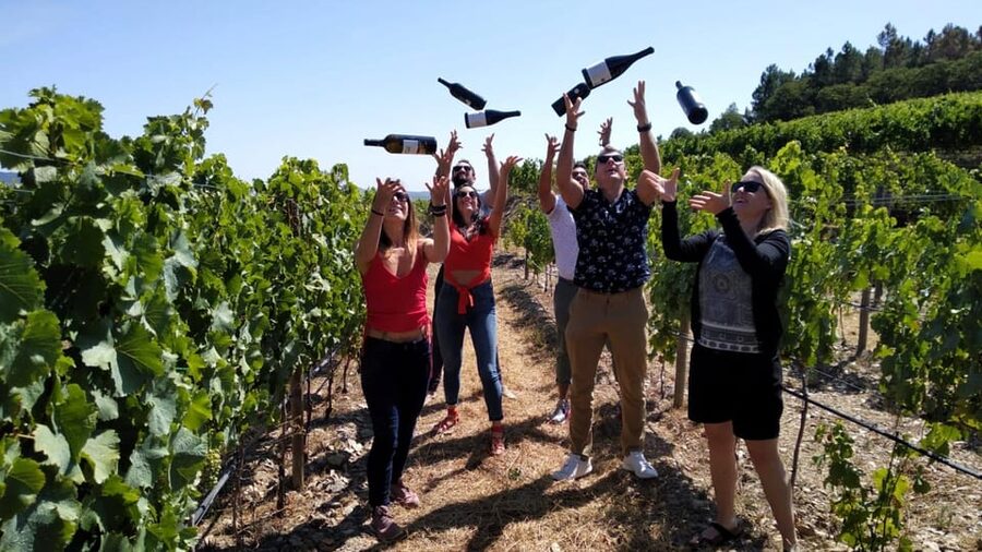 From Porto: Douro Valley Tour with Tastings, Boat & Lunch - What makes this Douro day worthwhile