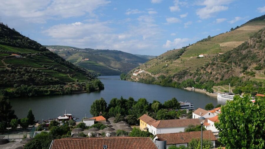 From Porto: Douro Valley Tour with Tastings, Boat & Lunch - First winery: table wine, olive oil, and local production