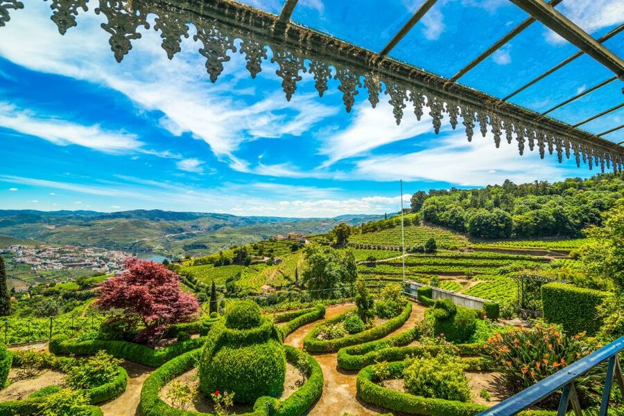 From Porto: Douro Valley w/ Boat Tour, Wine Tasting & Lunch - Practical details that affect your decision