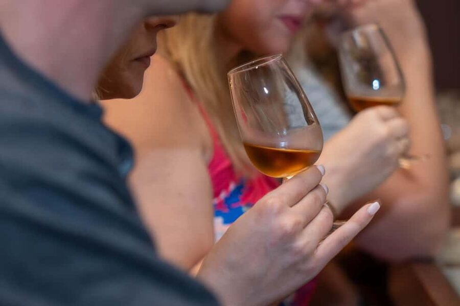 From Porto: Douro Valley Wine Tour with Lunch and Cruise - The return to Porto