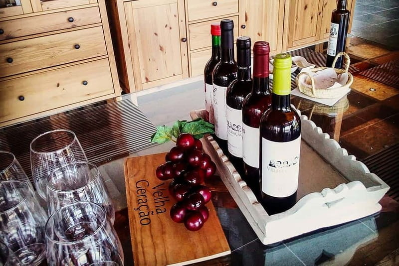 From Porto: Douro Valley with Wineries, Lunch and Boat Trip - Why the Douro makes a good day trip from Porto
