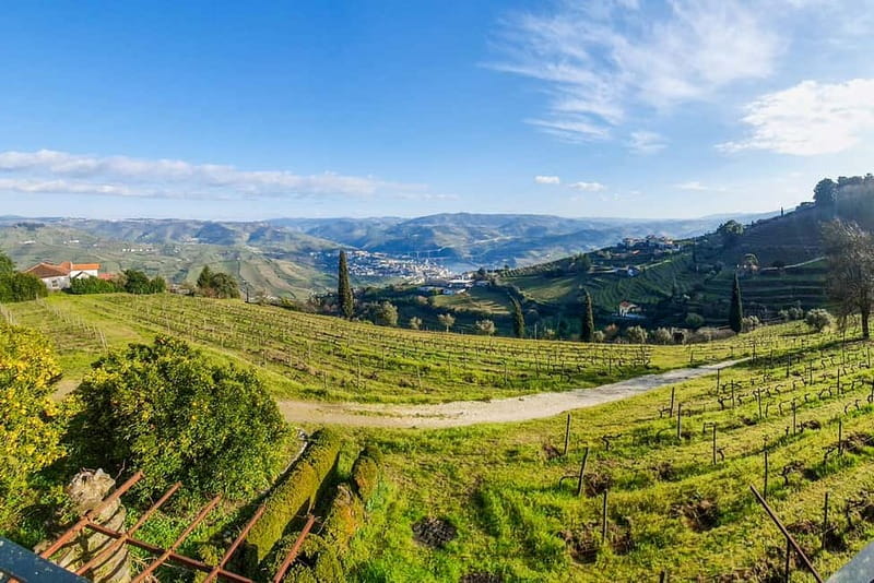 From Porto: Douro Valley with Wineries, Lunch and Boat Trip - Who will enjoy this tour most?