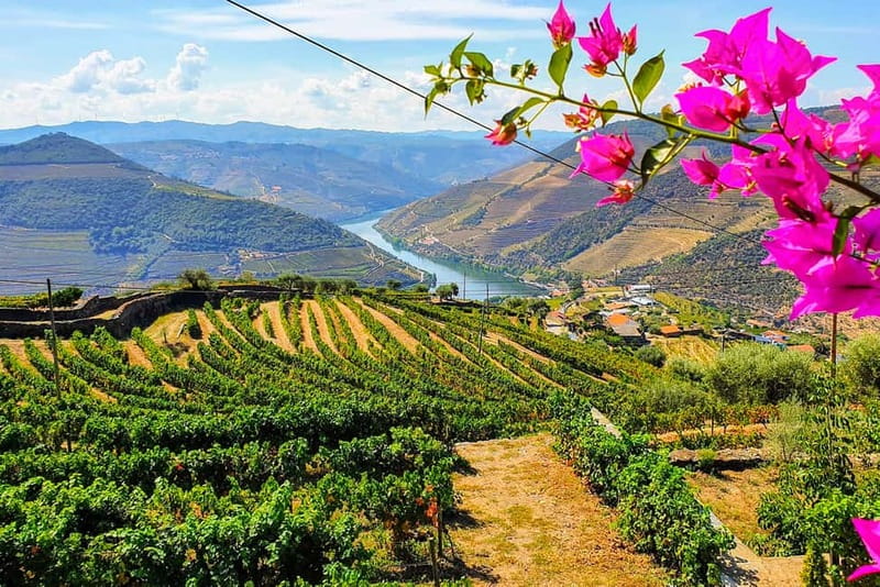 From Porto: Douro Valley with Wineries, Lunch and Boat Trip - The van ride and the stop in Amarante