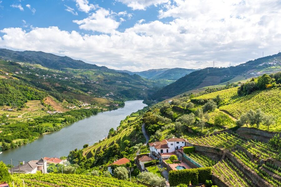 From Porto: Full-Day Douro Historical Tour - The road to the Douro viewpoints