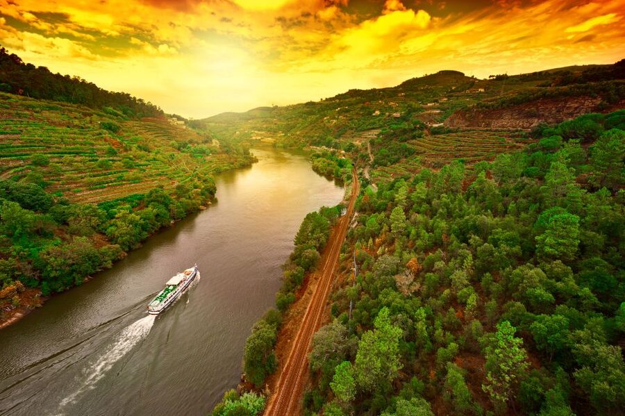 From Porto: Full-Day Douro Historical Tour - Pinhão and the calm river cruise