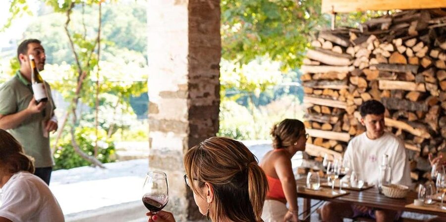 From Porto: Full-Day Douro Valley Trip - The guides can shape the whole day