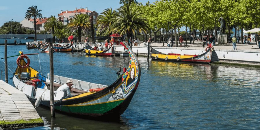 From Porto: Full-Day Trip to Coimbra & Aveiro with Boat Ride - The 90-minute ride to Coimbra